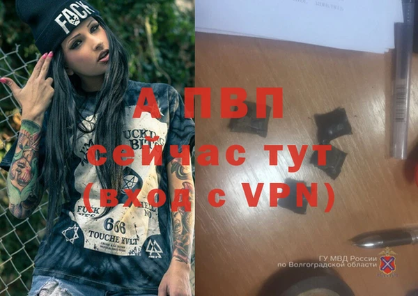 гидра Аркадак