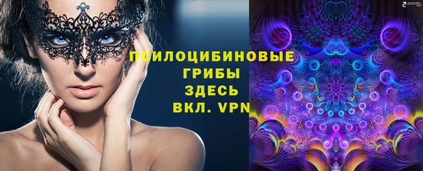 гидра Аркадак