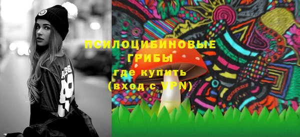 гидра Аркадак