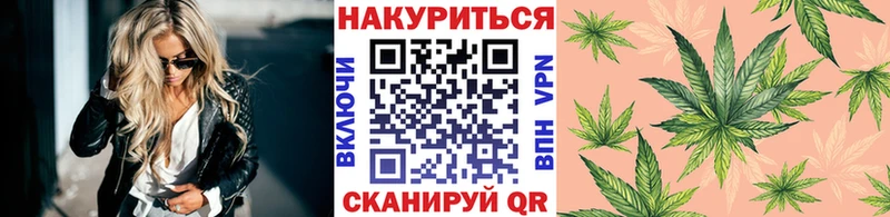 Канабис Amnesia  купить  цена  блэк спрут ССЫЛКА  Омутнинск 